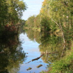 Enlarged Canal along the Erie Canalway Trail east of the village.